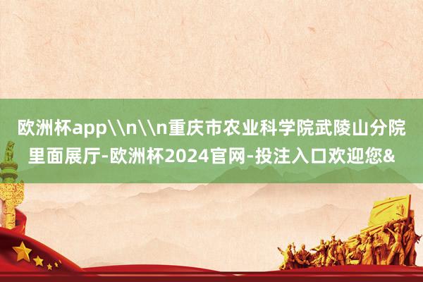 欧洲杯app\n\n重庆市农业科学院武陵山分院里面展厅-欧洲杯2024官网-投注入口欢迎您&