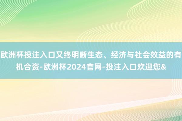 欧洲杯投注入口又终明晰生态、经济与社会效益的有机合资-欧洲杯2024官网-投注入口欢迎您&